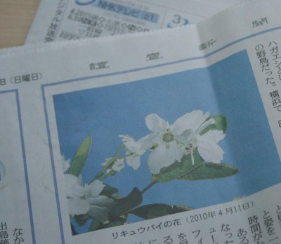 �V���̋L��