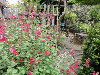 �`�F���[�Z�[�W