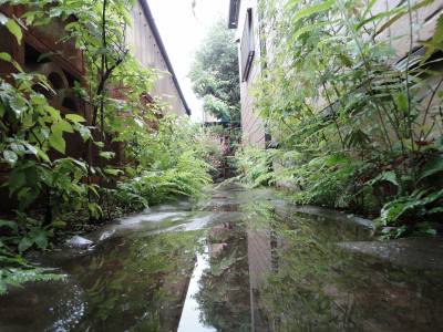 �J�̓��̒ʘH