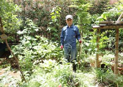 �~�J�Ԃ̙���