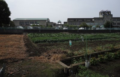 ���[���E���w�Z