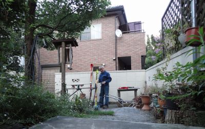 �X�L�[�V�[�Y���Ɍ���