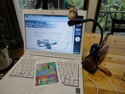 QSL�J�[�h���s