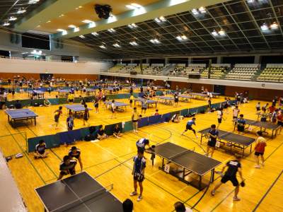 �Q�O�P�O�싅�c�̐�