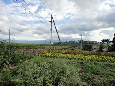 �������i