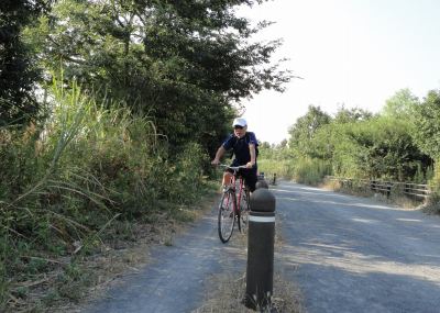 �����̕��͏H�F