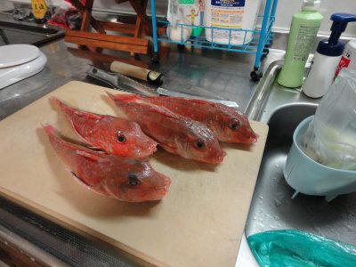 �J�i�K�V��