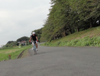 ���s�Q�O�O�����z��