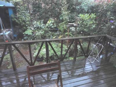 �䕗�P�S��