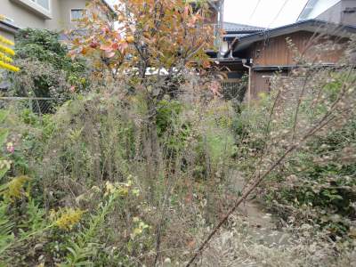 �`��̒눣��