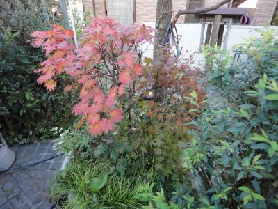 �g�t�n�܂�