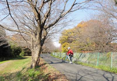 �����p���H�h