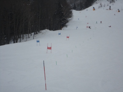 ���|�[�����K