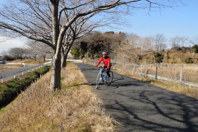 �z�����ɗU���āE�E