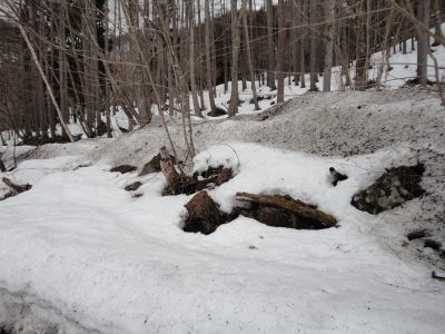 �R���t�̋C�z