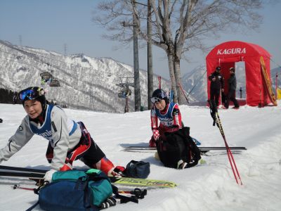 ���邢�K�[���t�����h�B