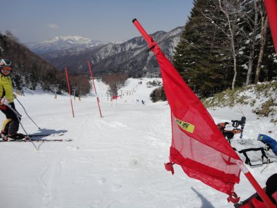 �����̂f�r���K