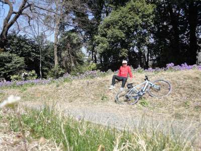 �������͋����E�E