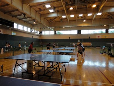 �Ɩ��̑̈��