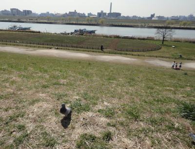 �r��E���l