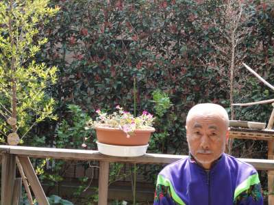 �P�~�����[�g��