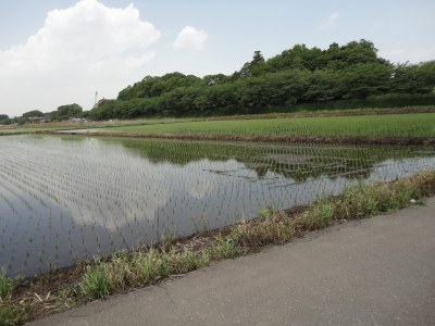 �����������c���