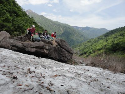 �y�������H