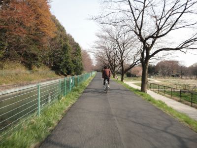 ��������������ł�