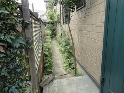 �����݂̂�