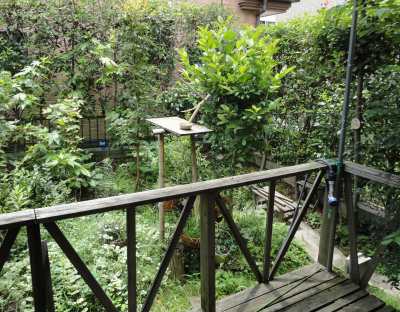 �V���������a��