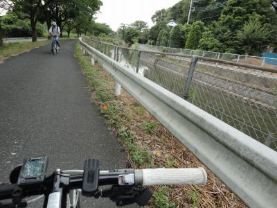 �����p������