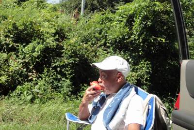 �g�}�g�ۂ�����