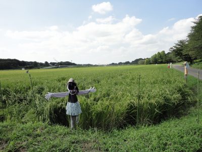 �����ׂ��������