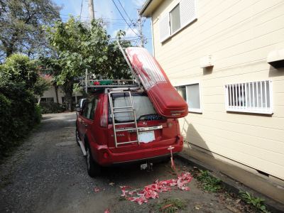 �W�F�b�g�o�b�N