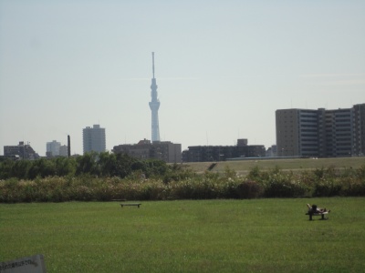 �H��ɃX�b�N��