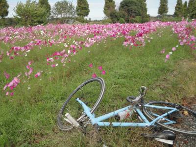 �R�X���X���a