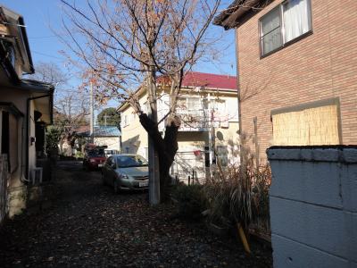 �L�ѕ���̍��̎}