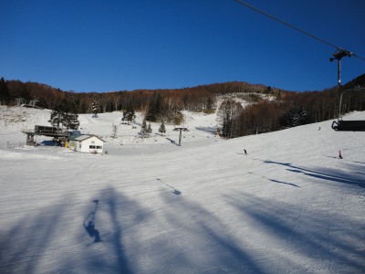 �~�����̃Q�����f