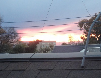 ���C�P��