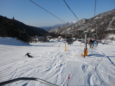 �A���̍D�V�C