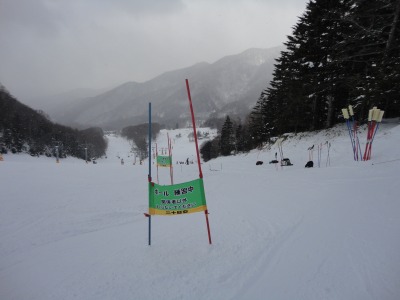 ���|�[�����K