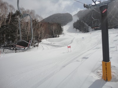 �D�V�̗��K��