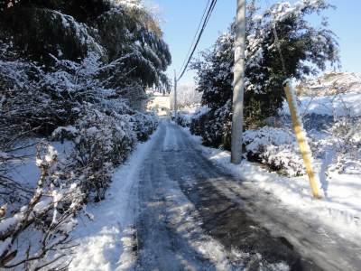 �ؑ]�C�����