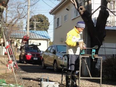 ���N�V���O