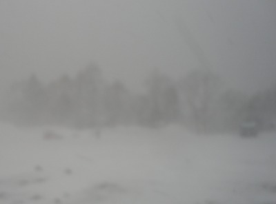 �t�̖\����