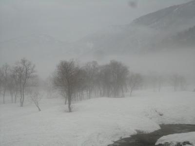 �J�̂�����݂܂�