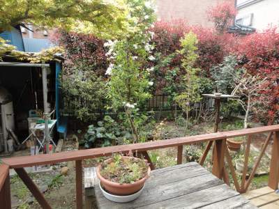 ����t�Ɍ�����