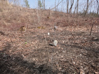 �A���X�N�X�N