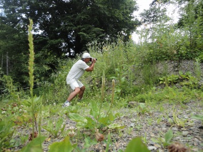 ��ƍ����U��