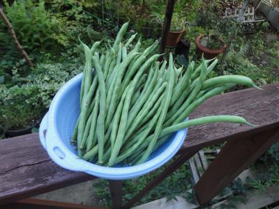 ��F����̑��蕨